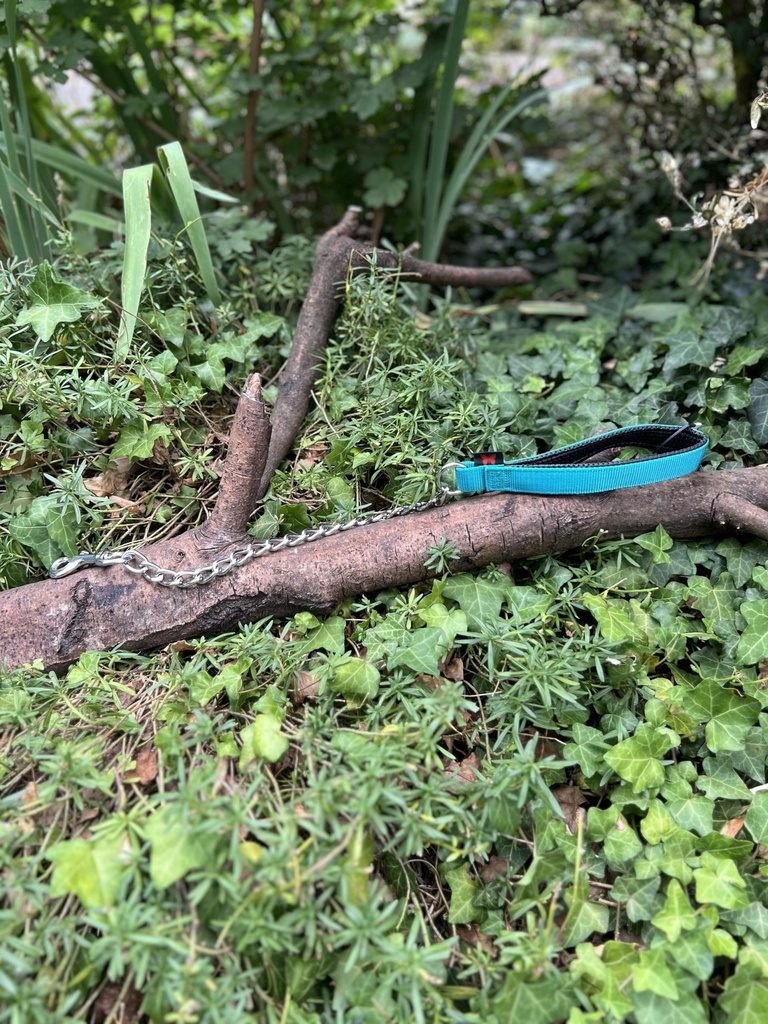 [2231.laissecourtechaineverte] Laisse courte chaine Martin Sellier 80cm