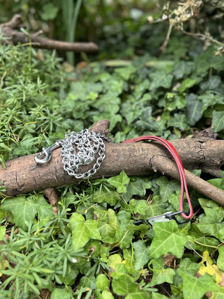 [2231.laissechainecuirrouge] Laisse chaine Martin Sellier 110cm