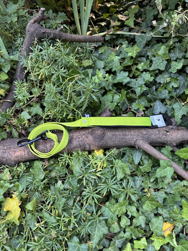 [2231.laissejaune] Laisse Martin Sellier 120cm 25mm