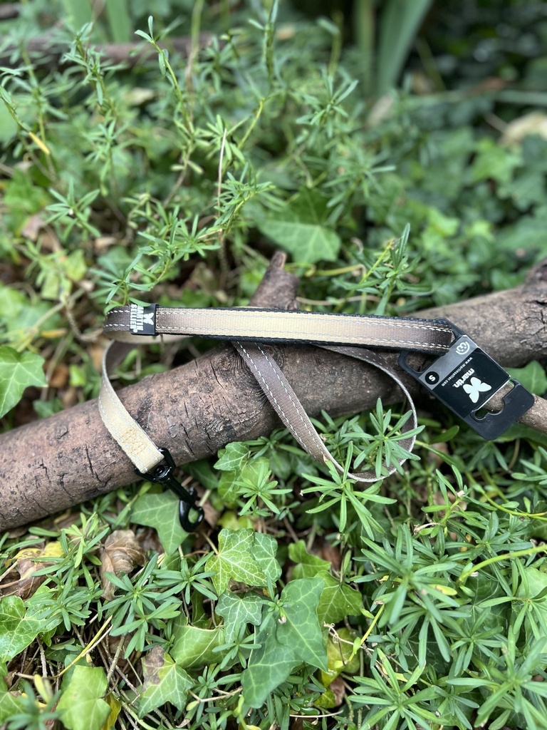 [2231.laissereflexev16marron] Laisse reflex Martin Sellier 1,6X100cm