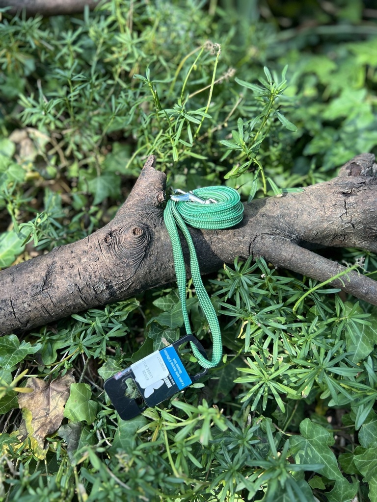 [2231.laissenylonverte] Laisse nylon Martin Sellier 1X120cm