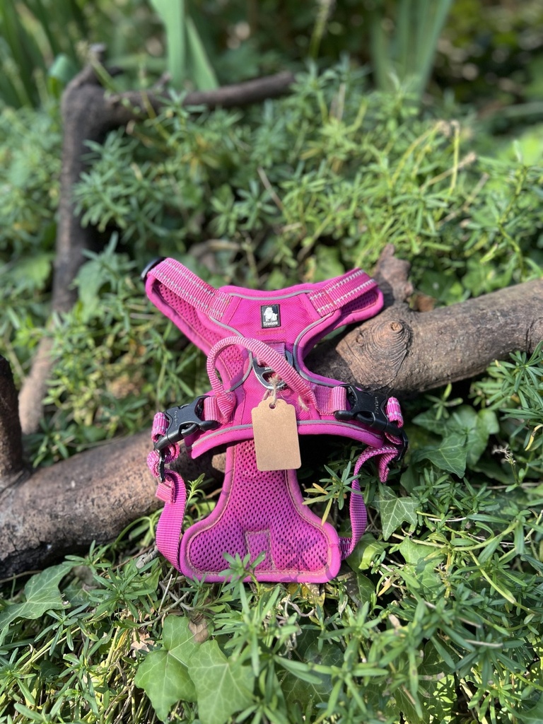 [2233.trueloves] Harnais true love S