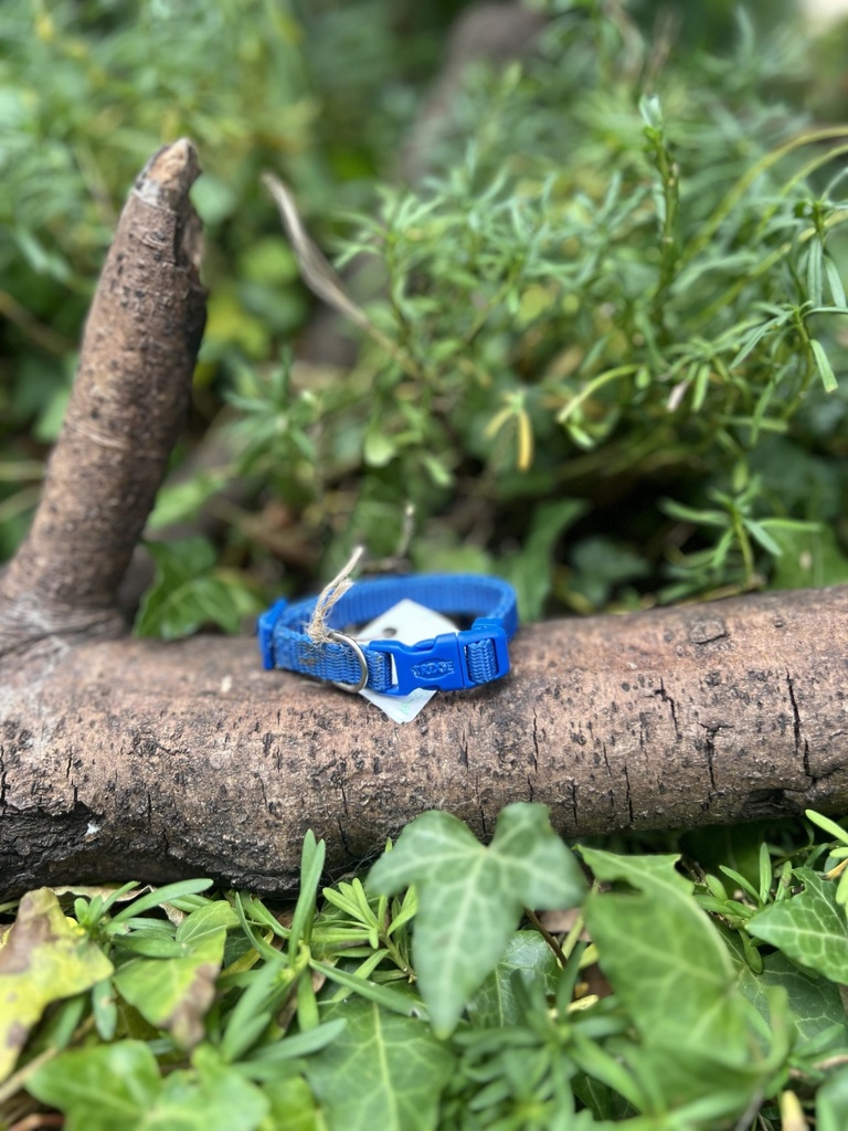 [2212.colliegrisjaune-5ihu] Collier bleu 18-27cm