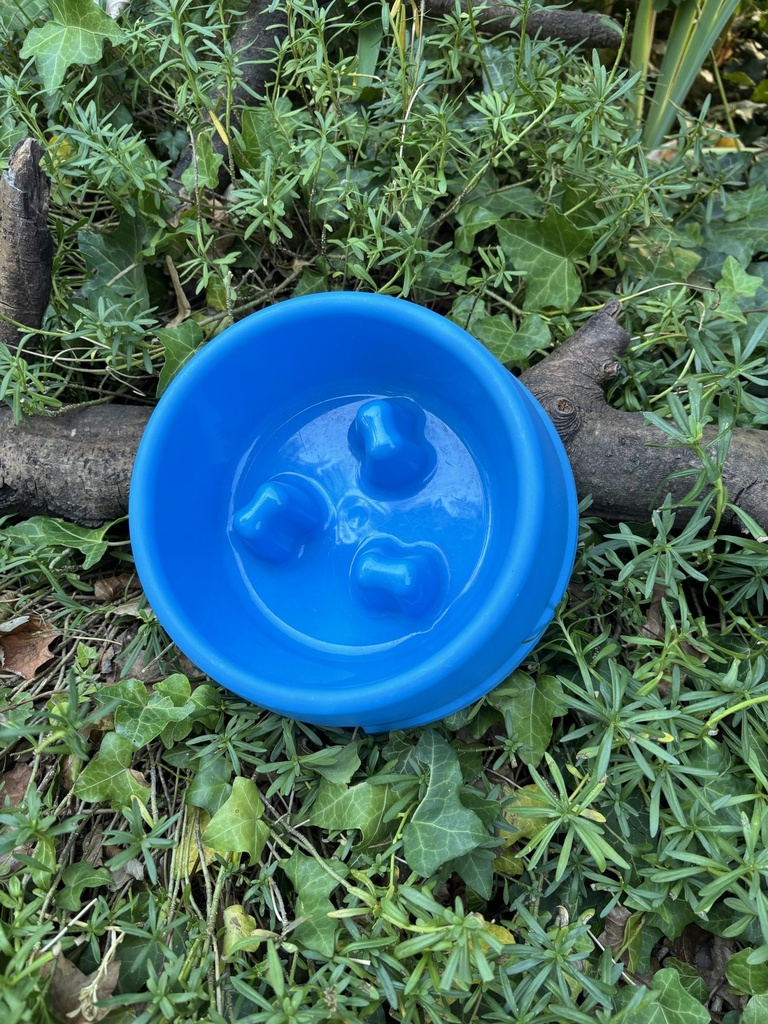 [2263.bleue] Gamelle antiglouton