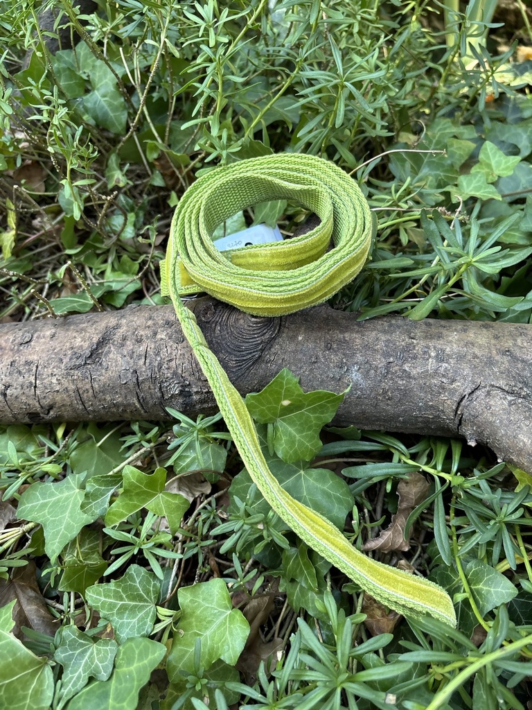 [2270.laisseverte] Laisse en tissu verte 150cm