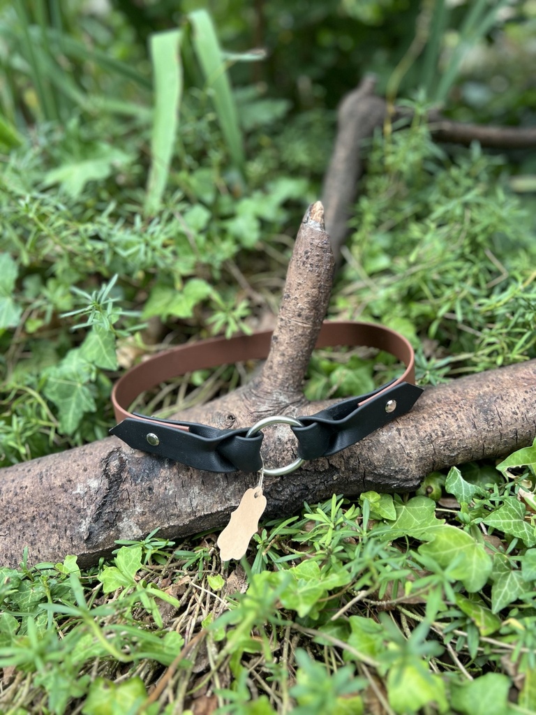 [2282.marron] Collier Biothane 58cm