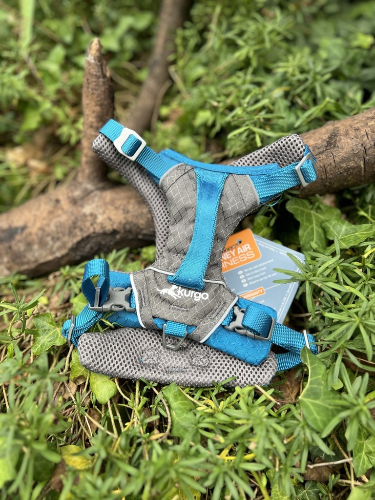 [2279.S.bleu] Harnais Kurgo Journey S 5-11kg