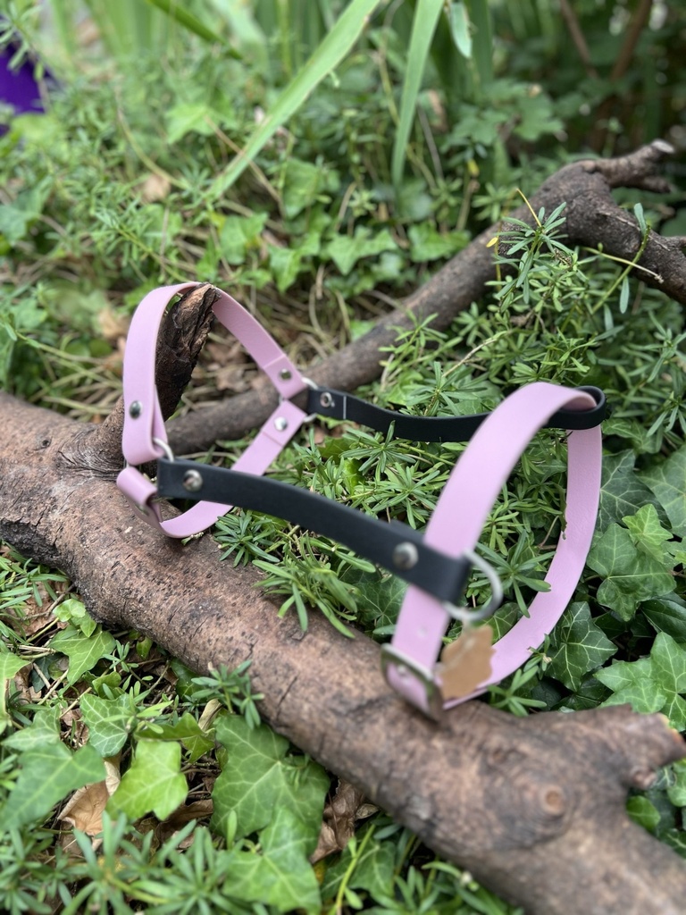 [2279.rose] Harnais rose et noir