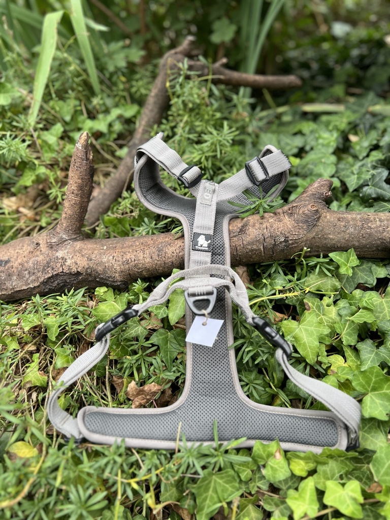 [2233.trueloves-1] Harnais true love