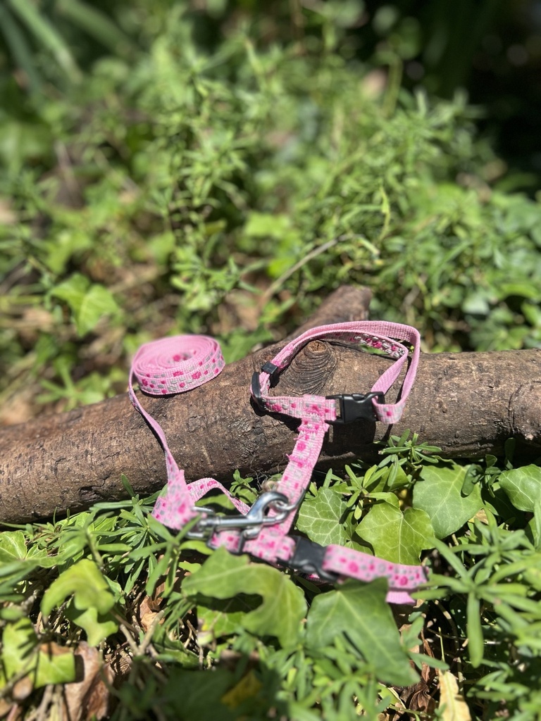 [2190harnaisrose] Harnais XS/S avec laisse rose