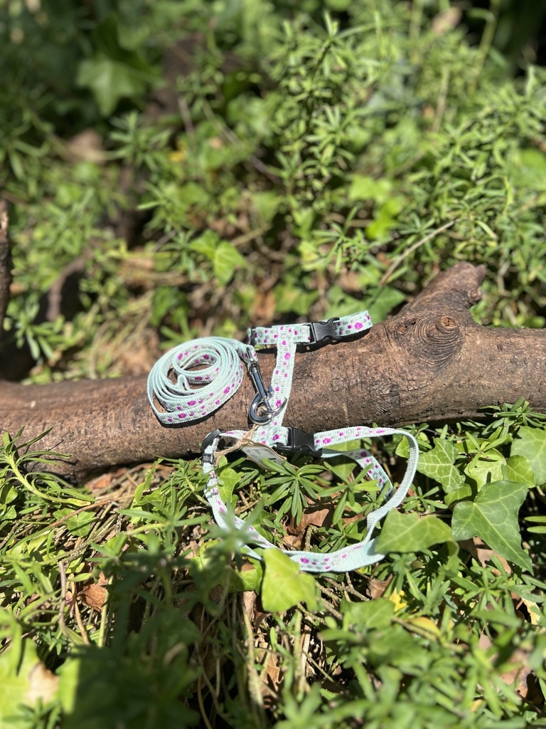 [2190harnaisbleu] Harnais XS/S avec laisse bleu