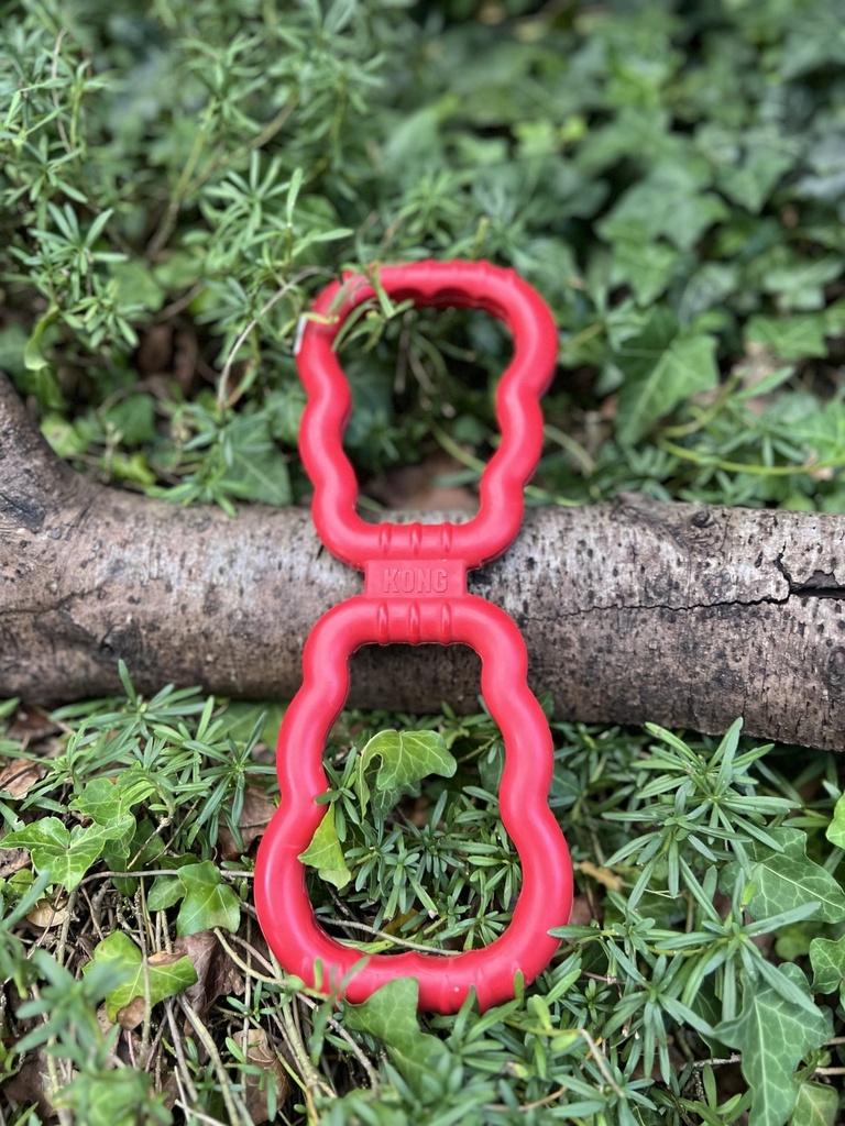 [66TS.8] Kong thug Toy