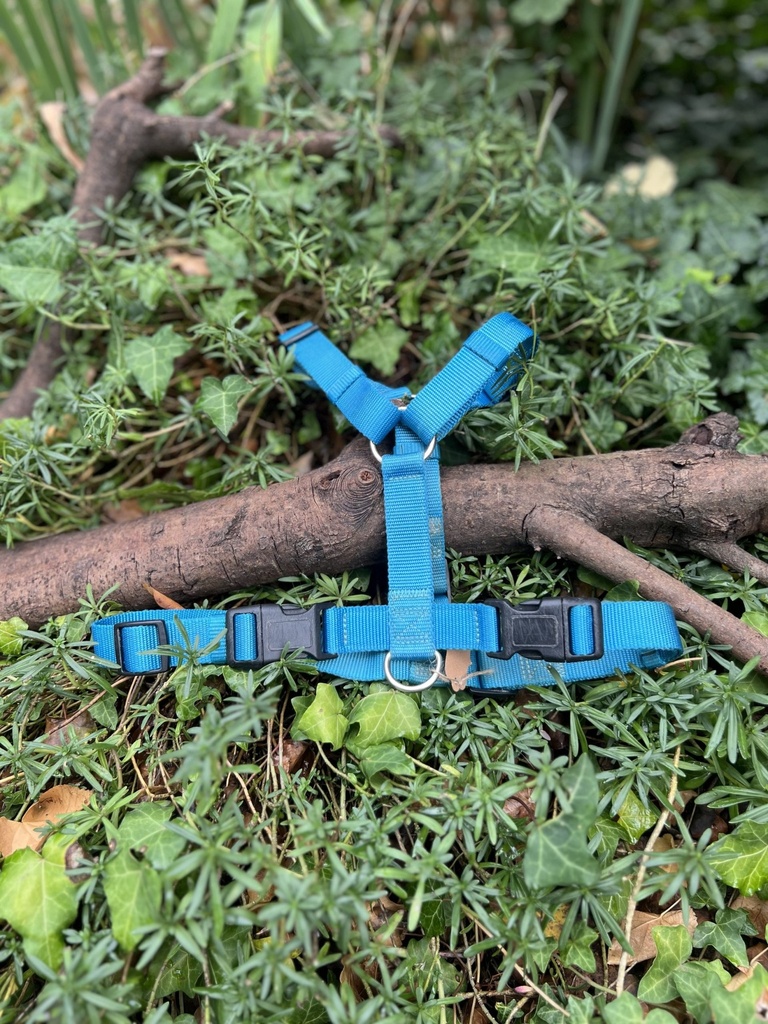 [2270.hanraish] Harnais H bleu ML