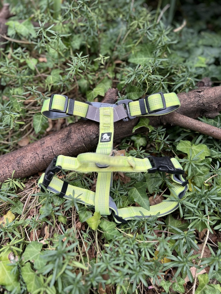 [2315.truelove] Harnais H True Love L