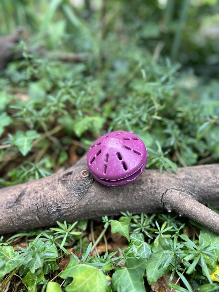 [2293.busyS] BusyBudy twist S