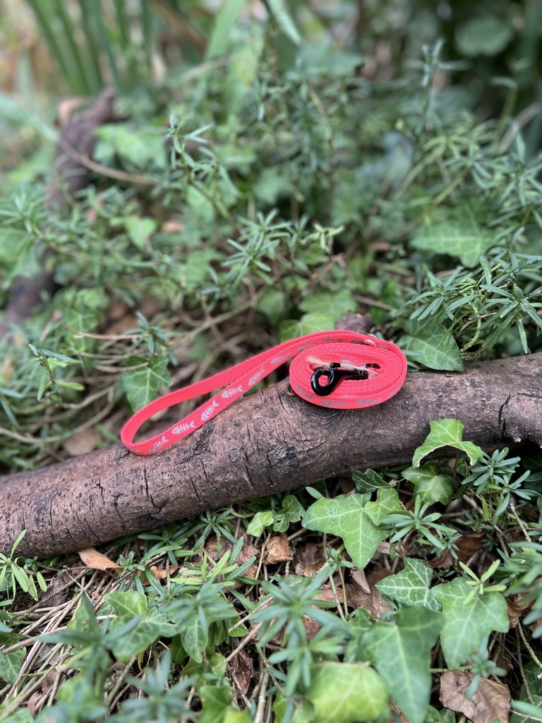 [2231.laissenylonjaune-2] Laisse rose poisson 110cm