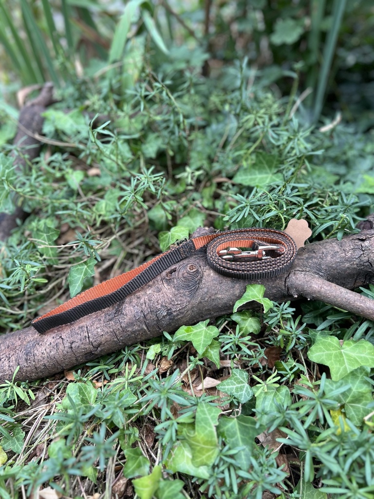 [2190.orangegrisee] Laisse tissus orange et grise 120cm