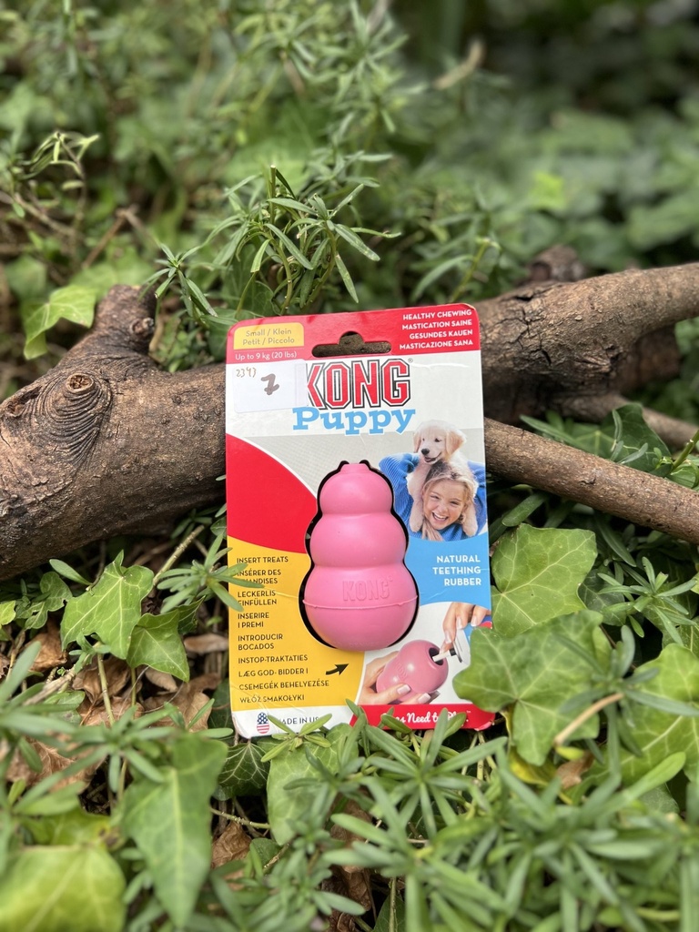 [2343.puppyrose] Kong puppy S