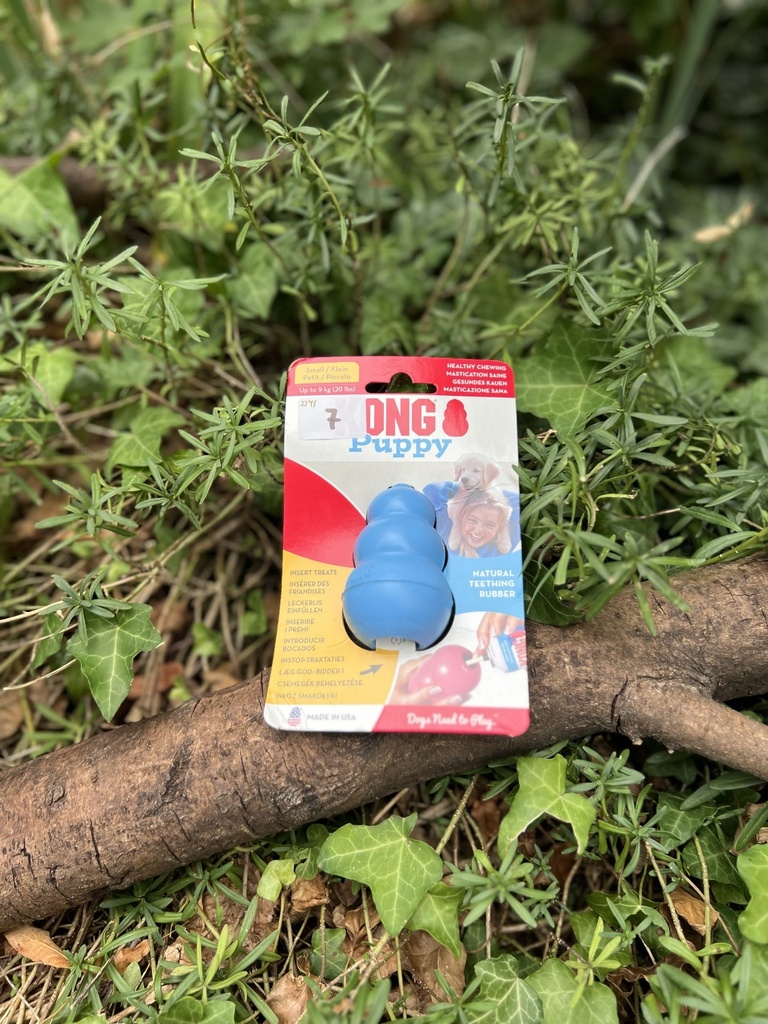 [2343.puppybleu] Kong puppy S