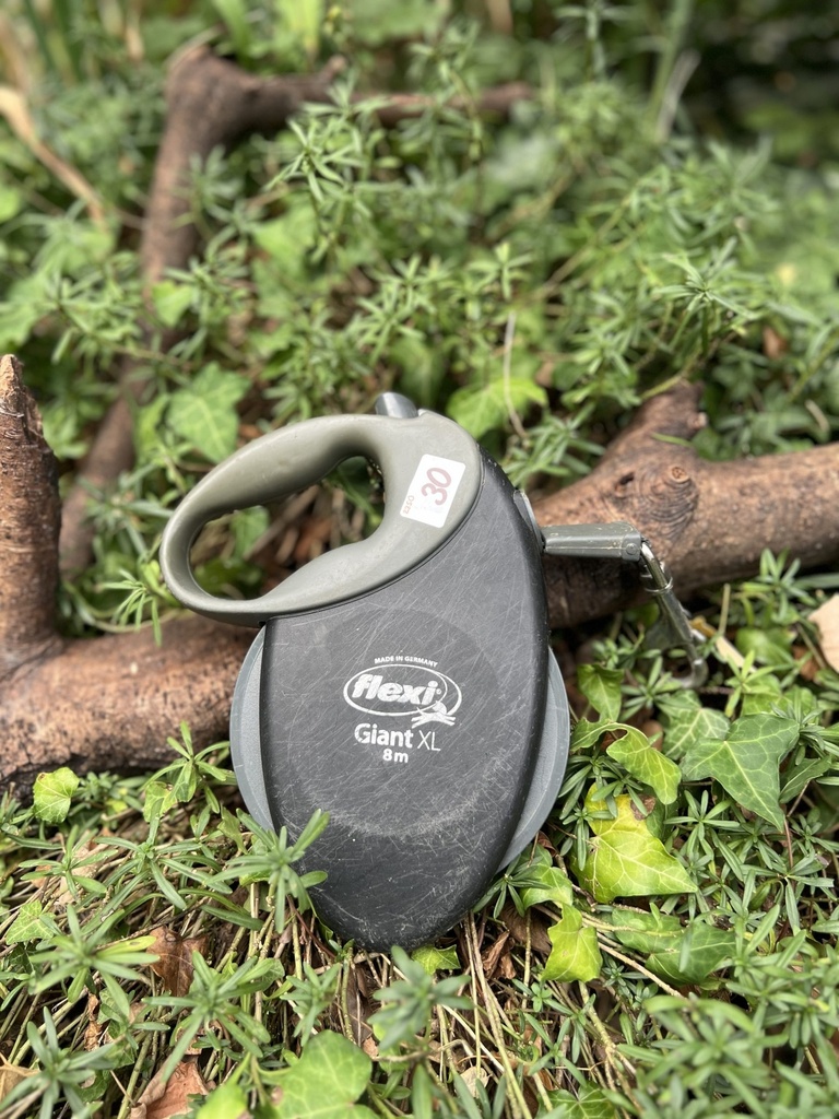 [2350giantxl] Flexi Giant XL 8m