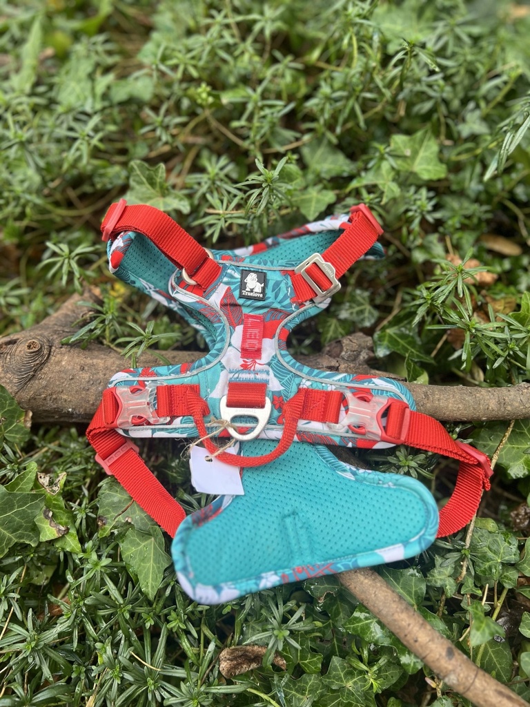 [2331fleur] Harnais true love M fleur