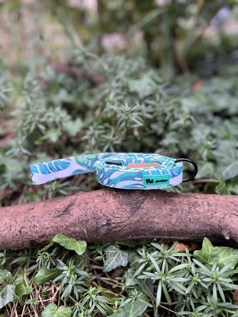 [2306laissefeuilleverte] Laisse feuille