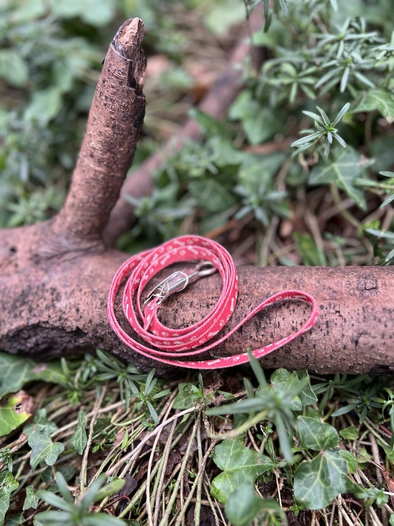 [2336laisserougeos] Petite laisse rouge