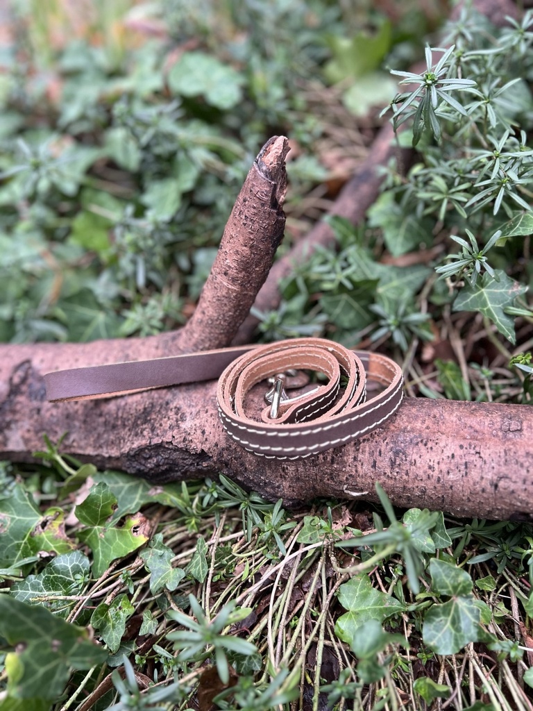 [2336laissemarronsimilicuire] Laisse marron