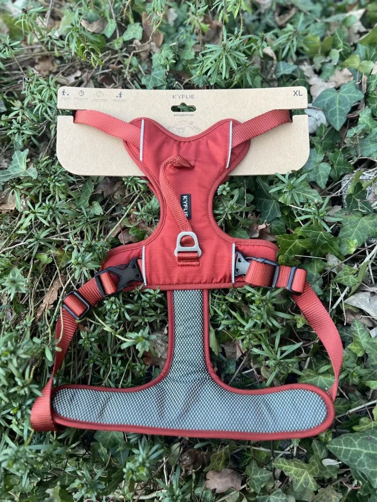 [2375.rouille] Kyflie Momentum rouille XL