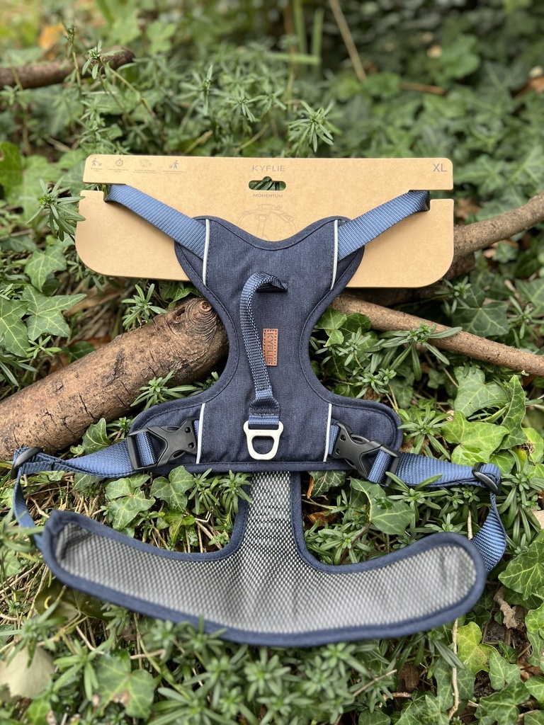 [2375.bleu] Kyflie Momentum Bleu XL