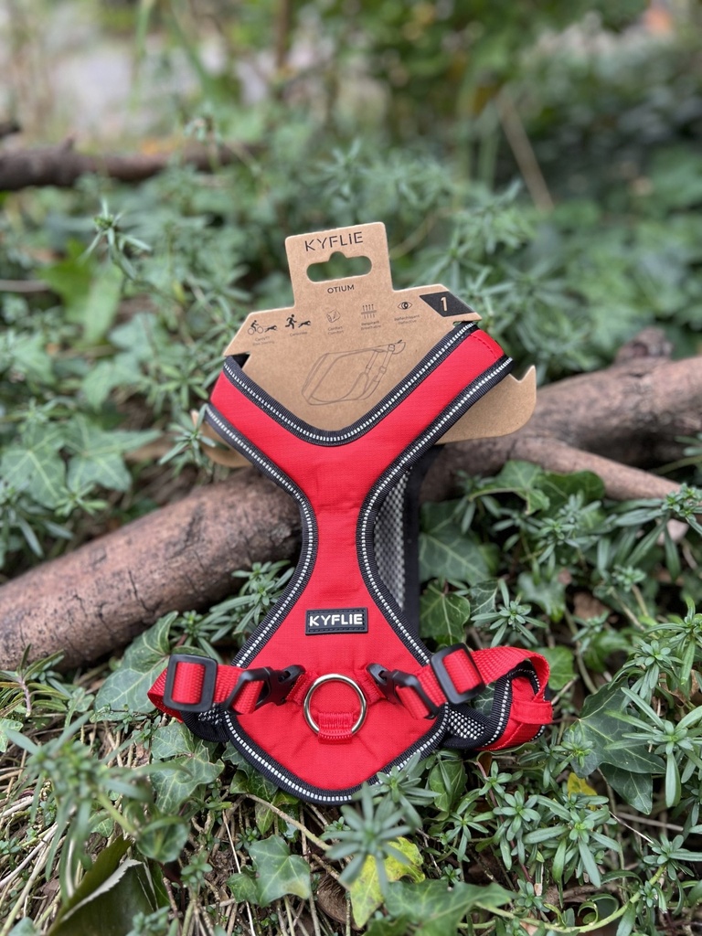 [2375.t1] Harnais Otium Kyflie T1