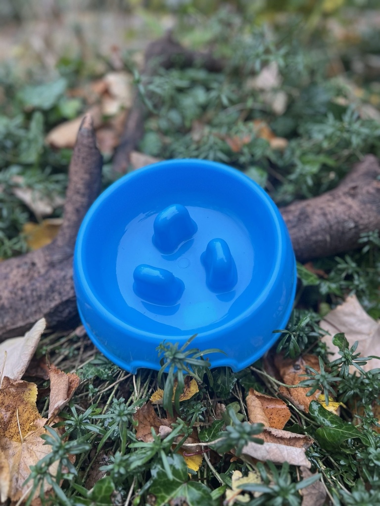 [2382.agb] Gamelle antiglouton bleue