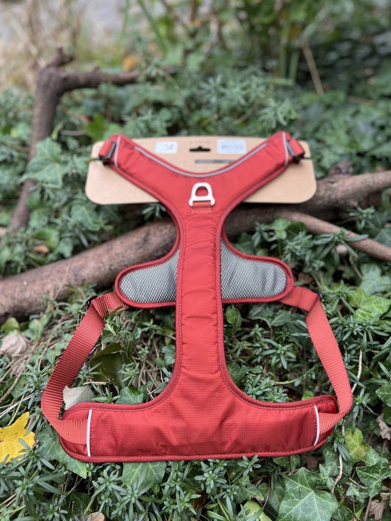 [2362.kfrL] Kyflie Momentum rouge L