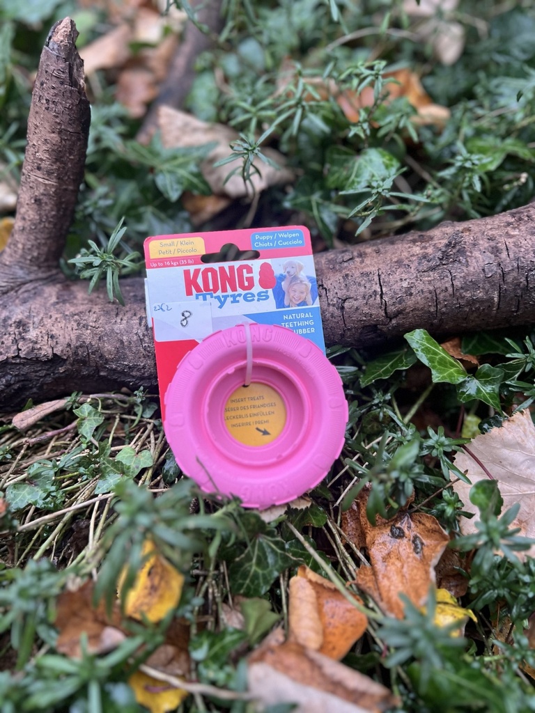 [2362.tyrerose] Kong Tire S puppy