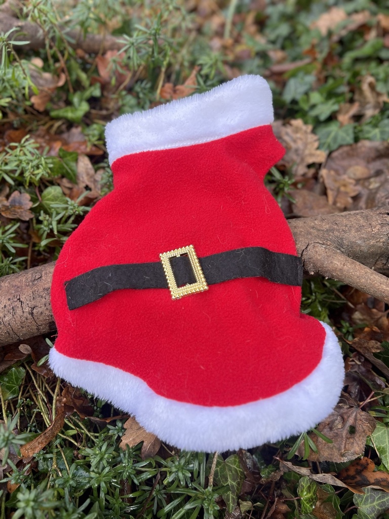 Manteau de père noël