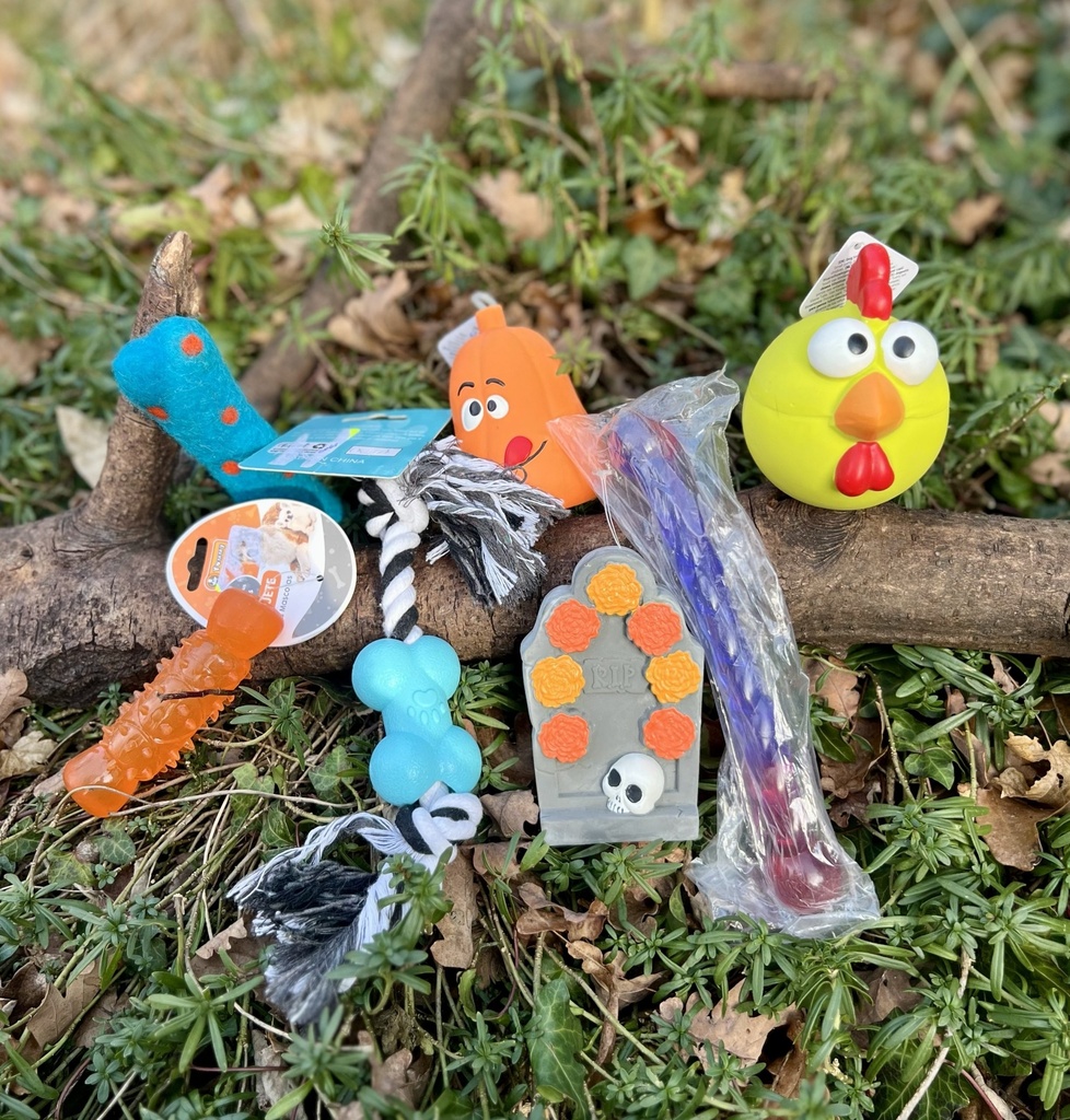 [Box Découverte Occupation] 🐾 Box Découverte Jouets d'occupation