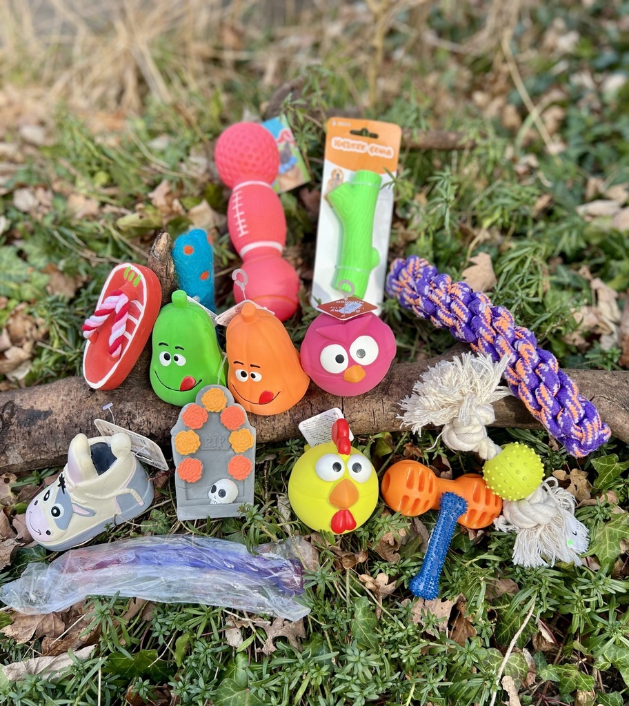 [Box premium Occupation] 🐾 Box Premium Jouets d'occupation