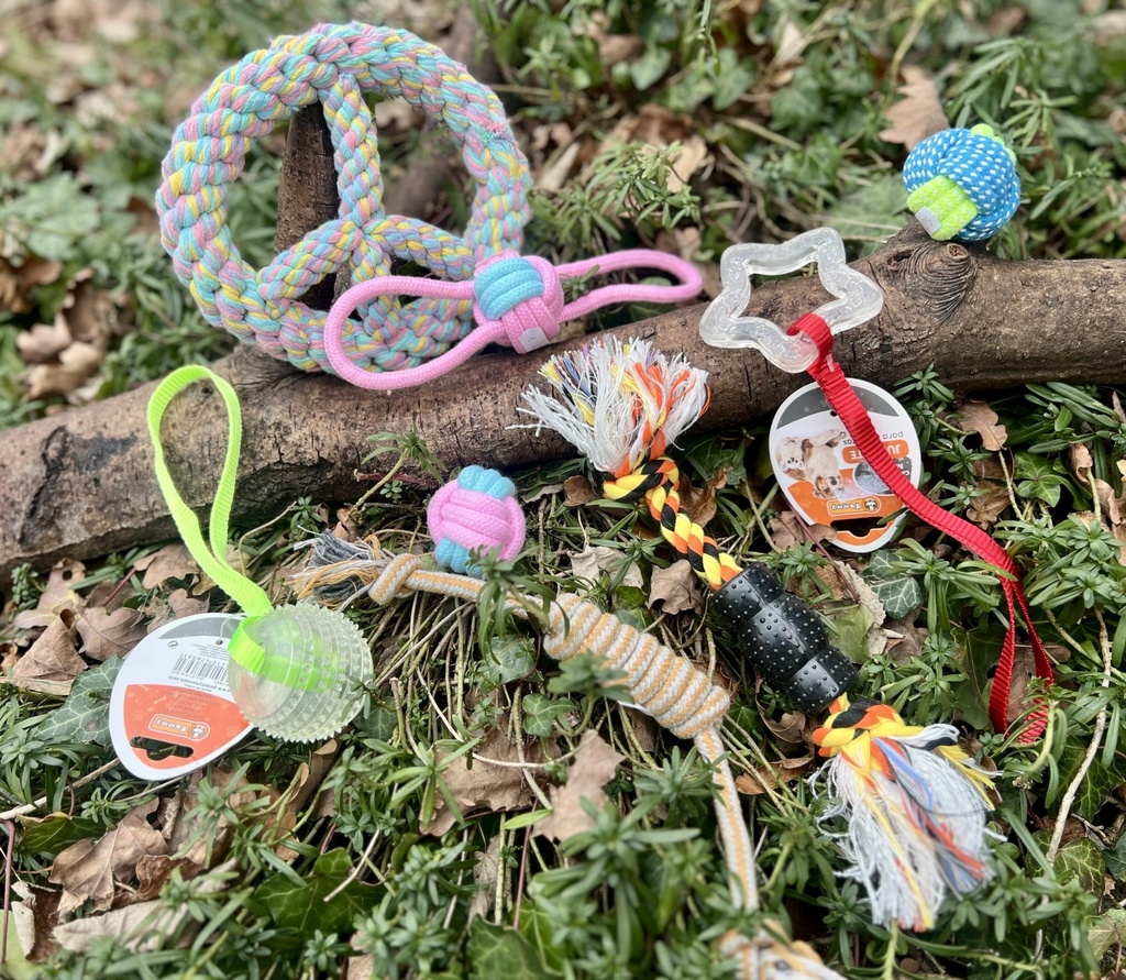 [Box Découverte interraction] 🐕 Box Découverte Jouets d'interaction