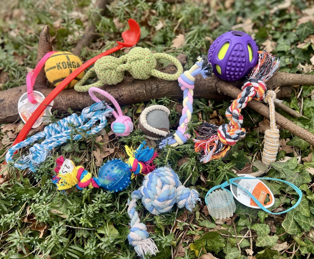 [Box Premium interaction] 🐕 Box Premium Jouets d'interaction