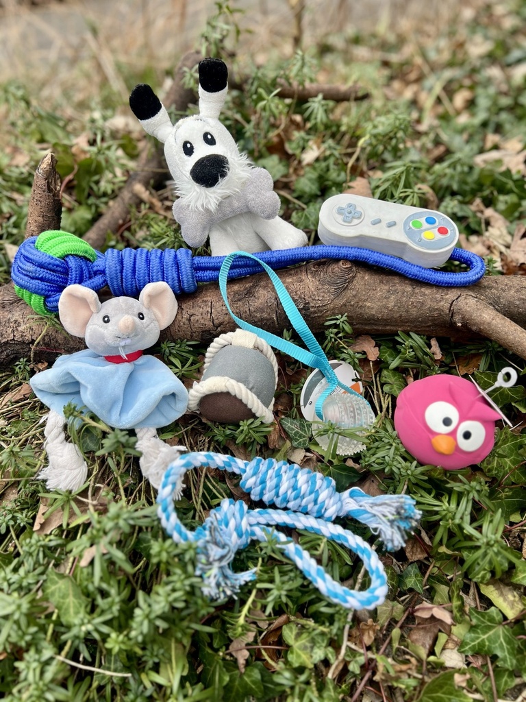 [Box Découverte mixte] ❤️ Box Découverte Mixte