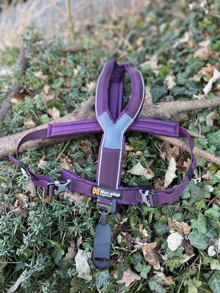 [Linne T9 puprle] Line Harness NonStop T9