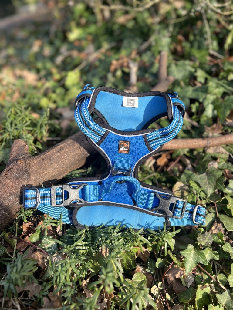 [Dogscreekbleu] Harnais dogs creek M