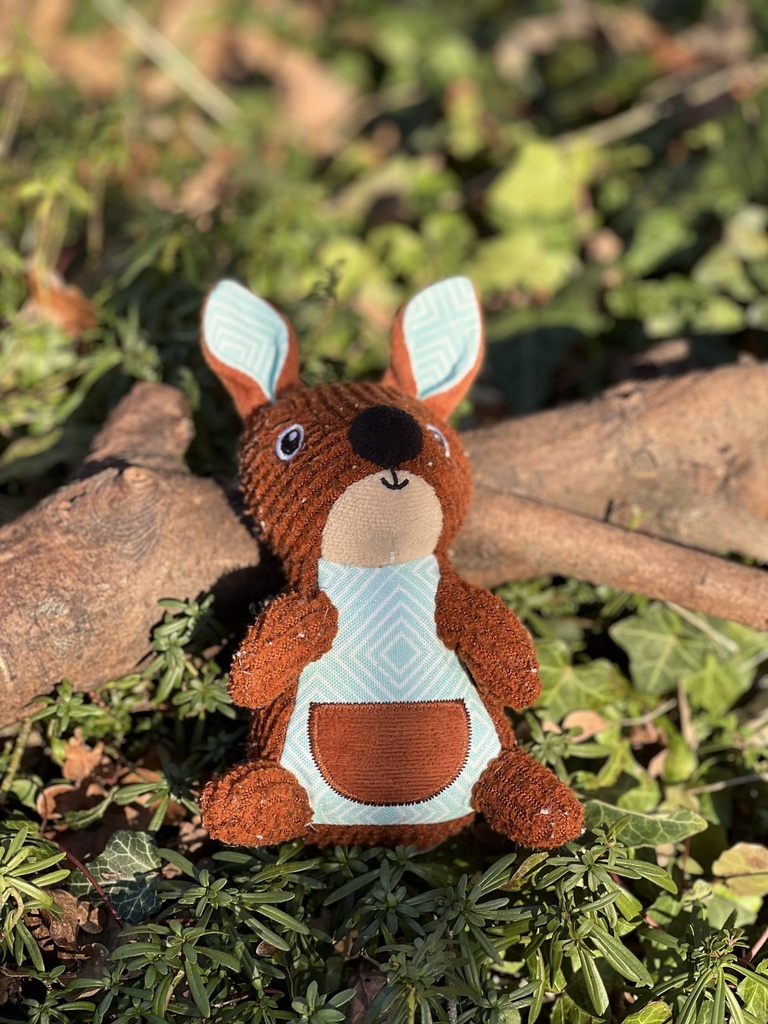 [2384-2] KONG kangourou