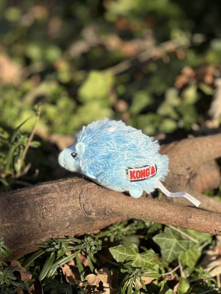 [2384-3] KONG herisson