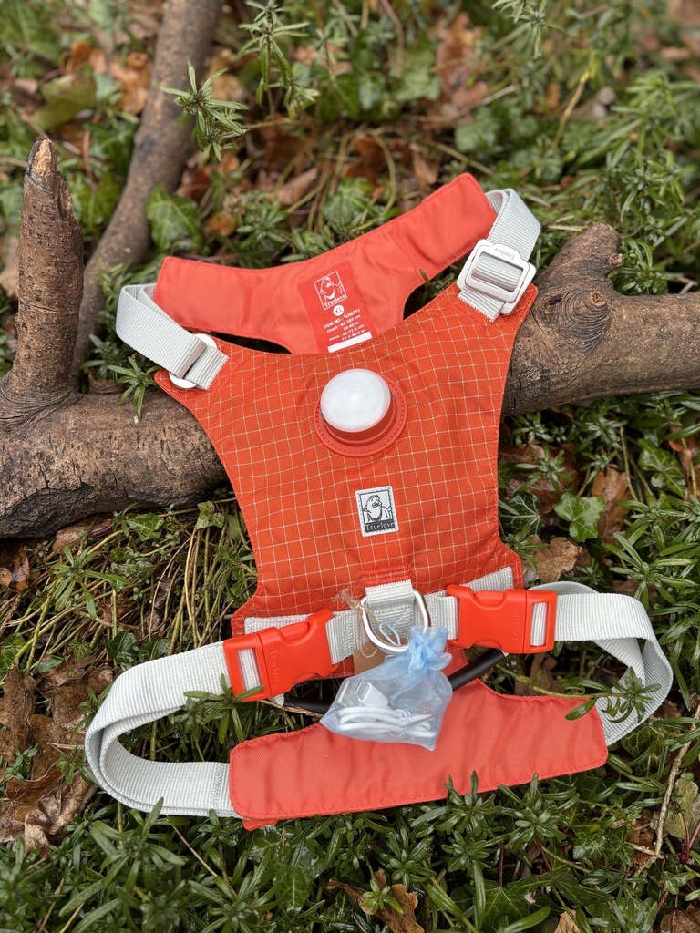 [TRLUMINEUXL] Harnais lumineux true love XL