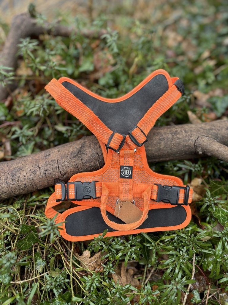 [bBL-1] Harnais Bully Billow S