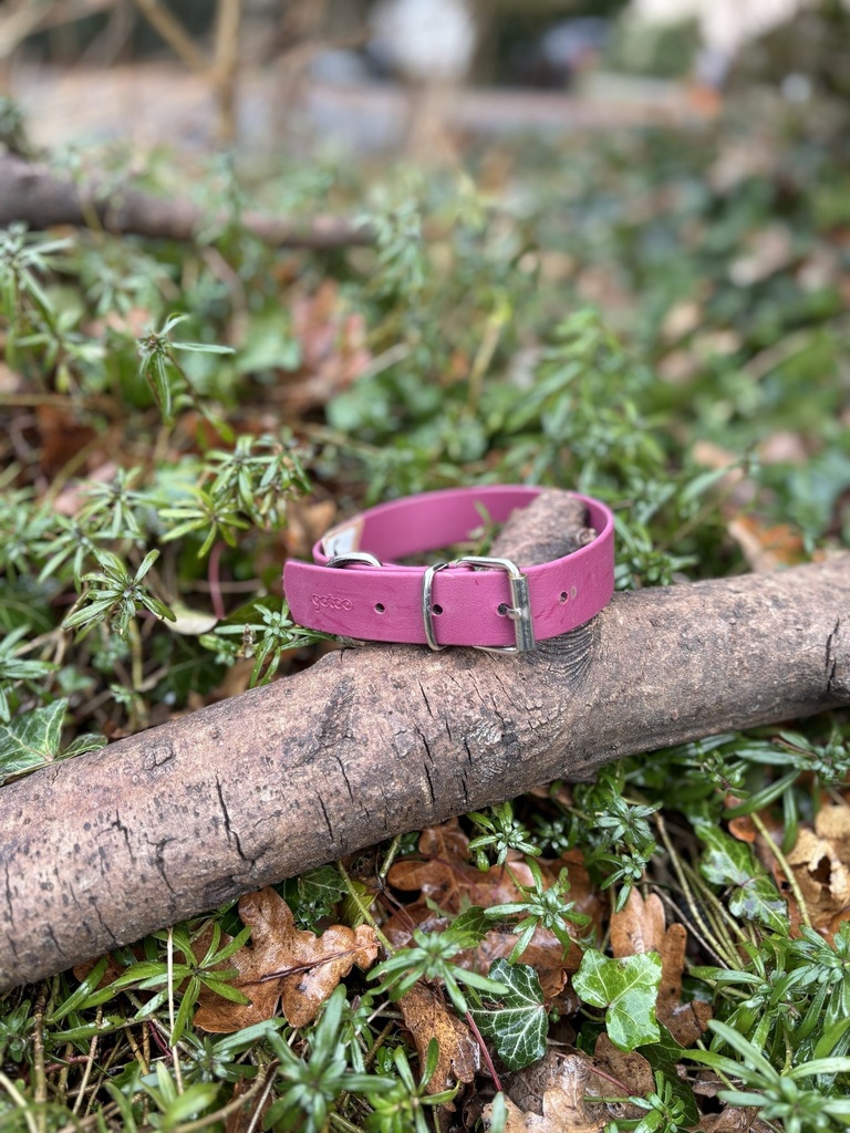 [2315.colierbioth-1-1] Collier Biothane 32 - 39 cm