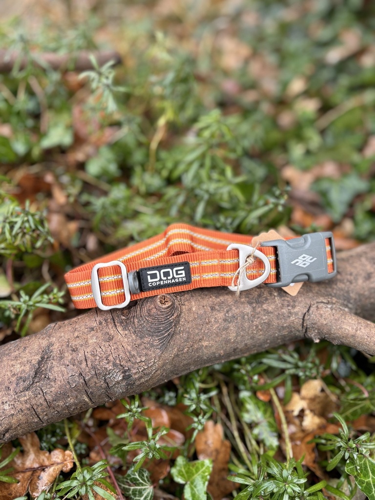 [2315collierflèche-1] Collier Dog Copenhagen 50 - 66cm