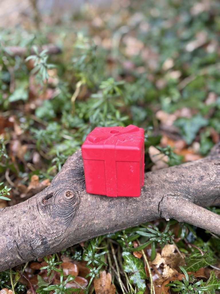 [2178.83628-1] Cadeau Noël Sodapup