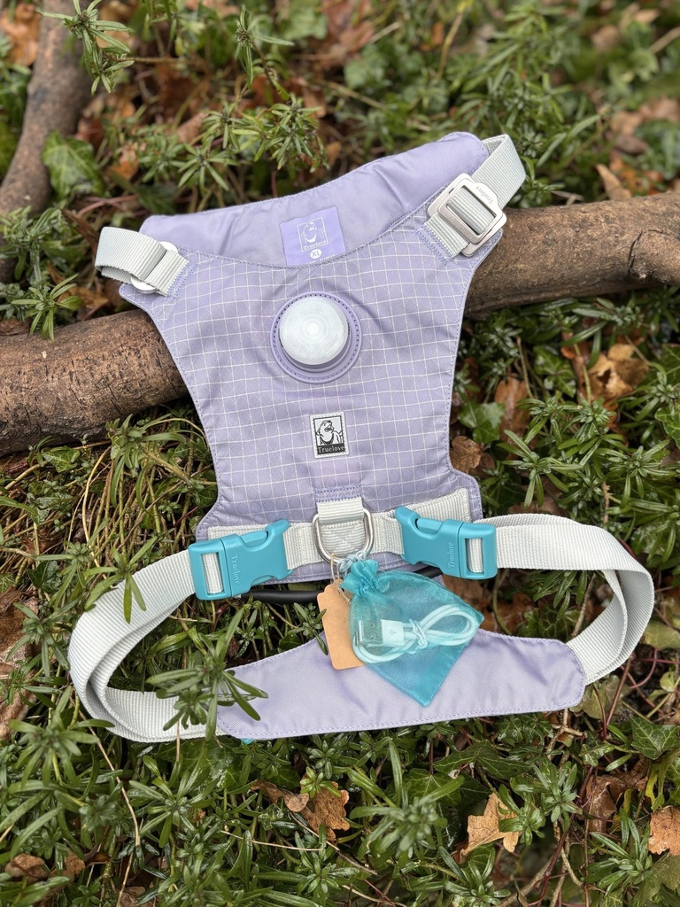 [TRLUMINEUXL-1] Harnais lumineux true love XL